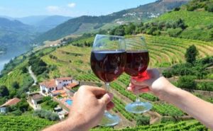 Portugal - Wine