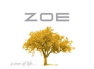 Domaine Skouras Zoe 2020
