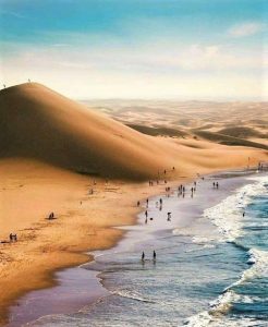 Namibia -Desert meets the Sea